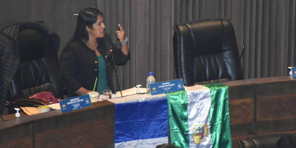 La senadora del MAS, Soledad Flores, presentó la moción para dispensar el trámite