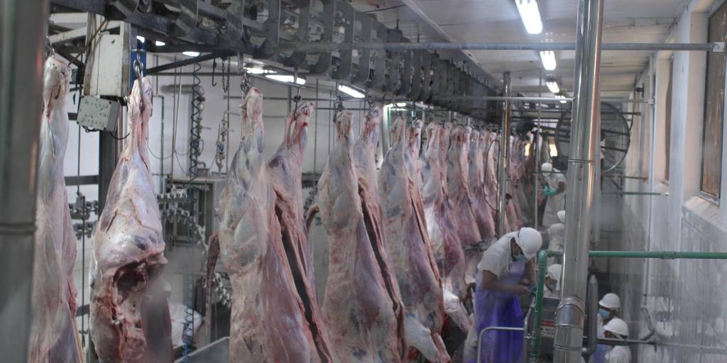 La faena técnica se realizó la noche del jueves