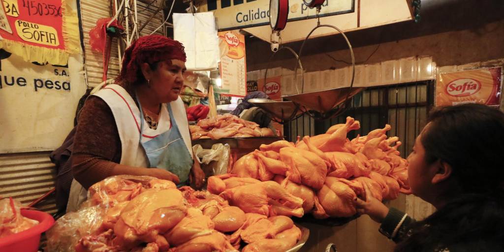 Santa Cruz: Sube el precio del pollo, llegó a Bs 16 el kilo en mercados