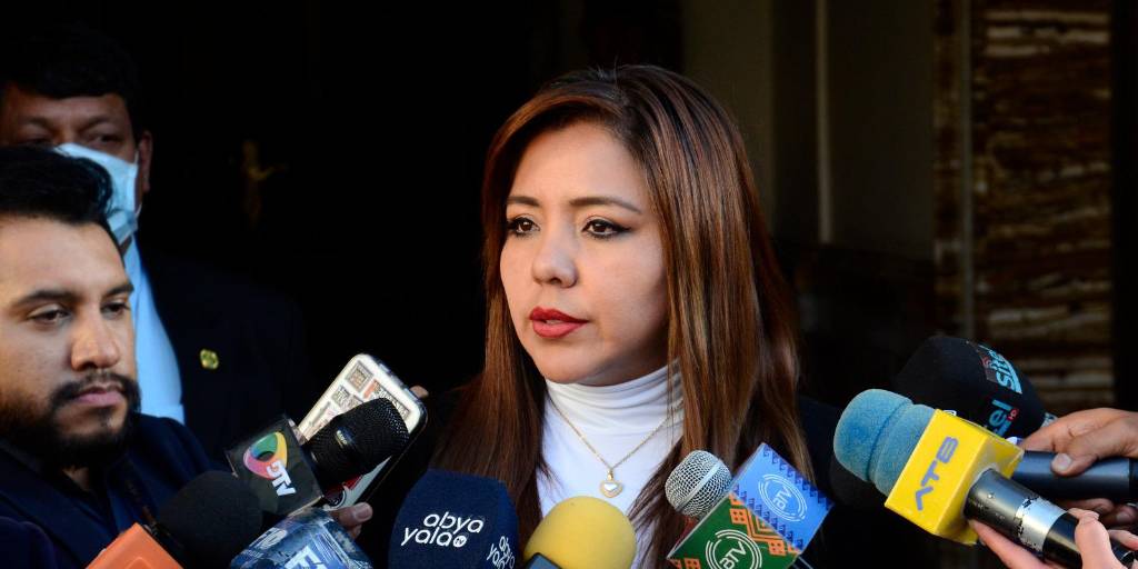 La viceministra de Comunicación, Gabriela Alcón.
