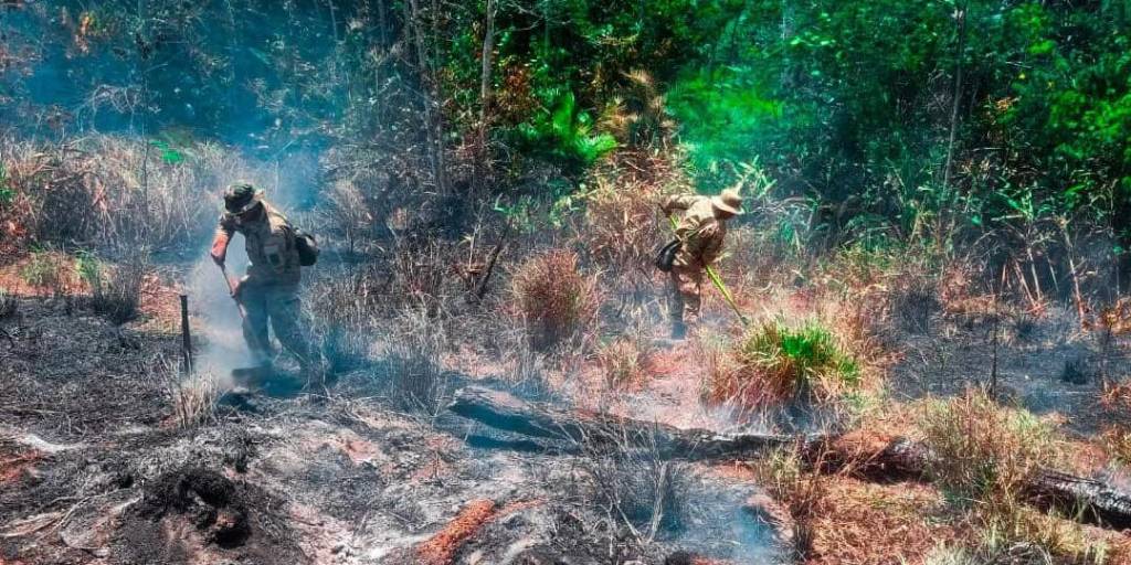 Las labores de mitigación de incendios no cesan en Santa Cruz, Beni y La Paz
