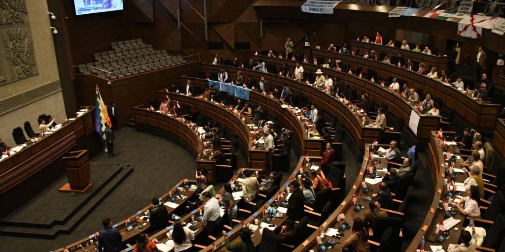 Legisladores debatieron en la Asamblea Plurinacional
