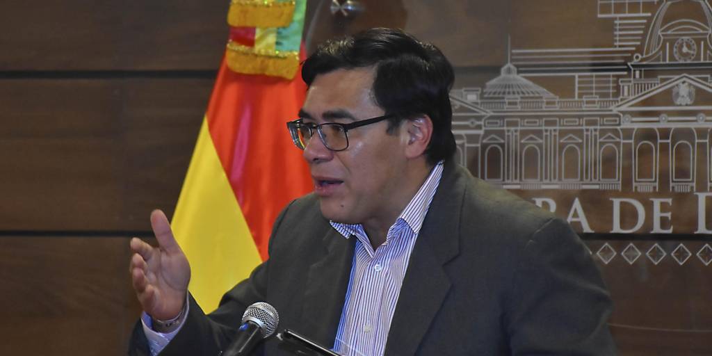 El presidente de la Cámara de Diputados Jerges Mercado / APG.