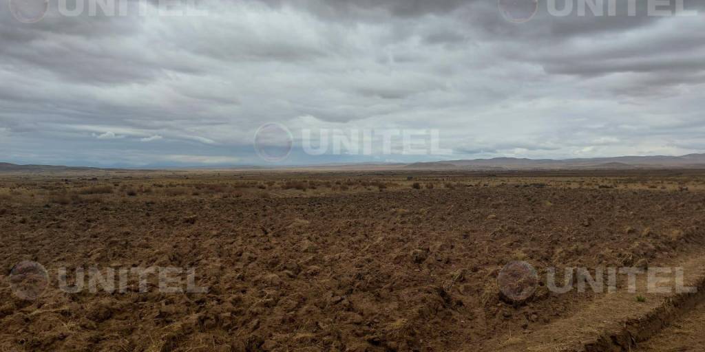 Los cultivos de Collana quedaron secos y sin agua