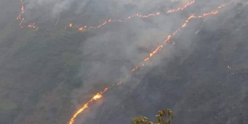 Miles de hectáreas están afectadas por los incendios en los Yungas