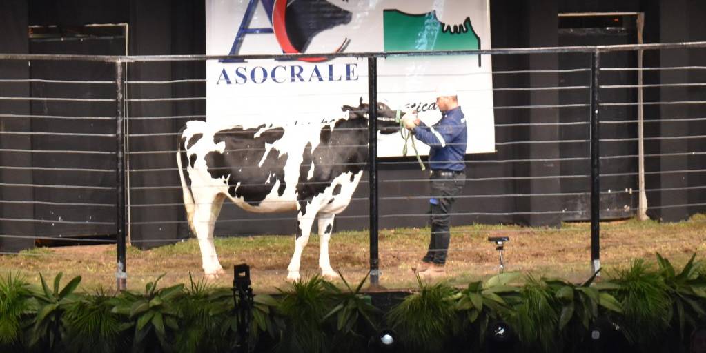 Fedeple alista varias actividades por el Día de la Leche