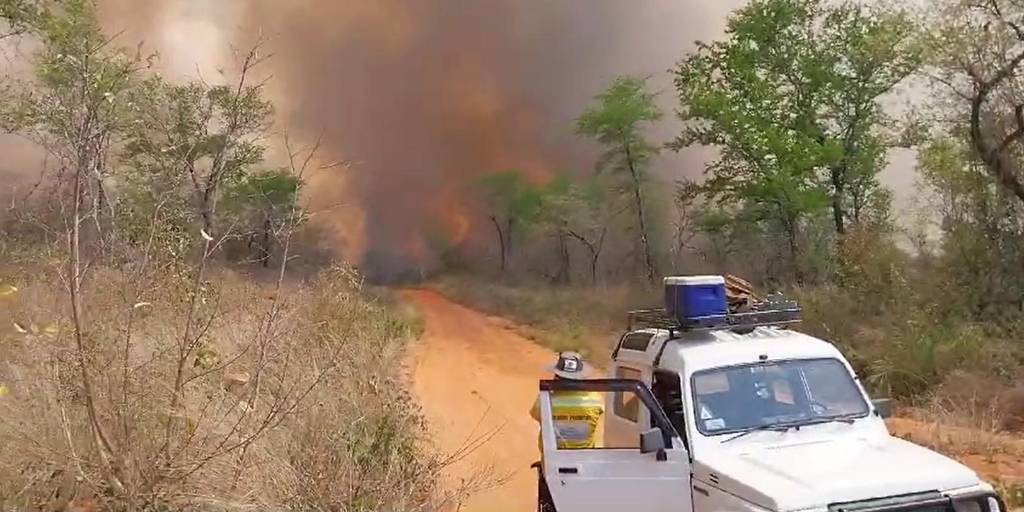 El fuego continúa arrasando con los bosques