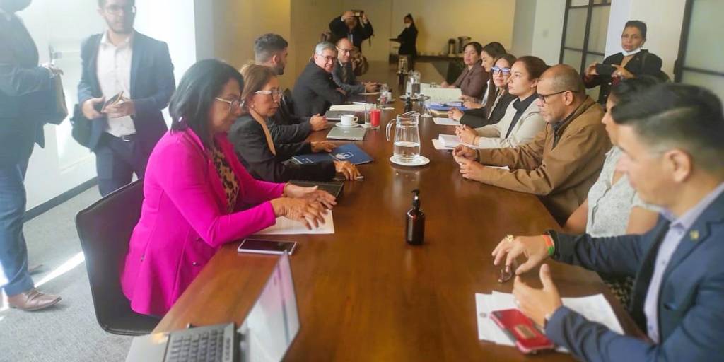 La reunión de legisladores de Creemos con representantes de la CIDH.