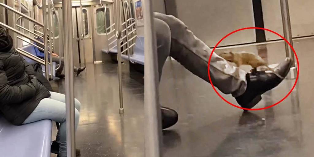 El momento en que una rata trepa sobre el cuerpo de un hombre en el metro de New York
