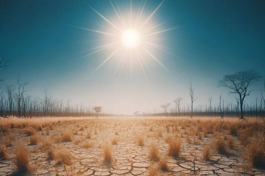 La Inteligencia Artificial predijo sequías para este 2024