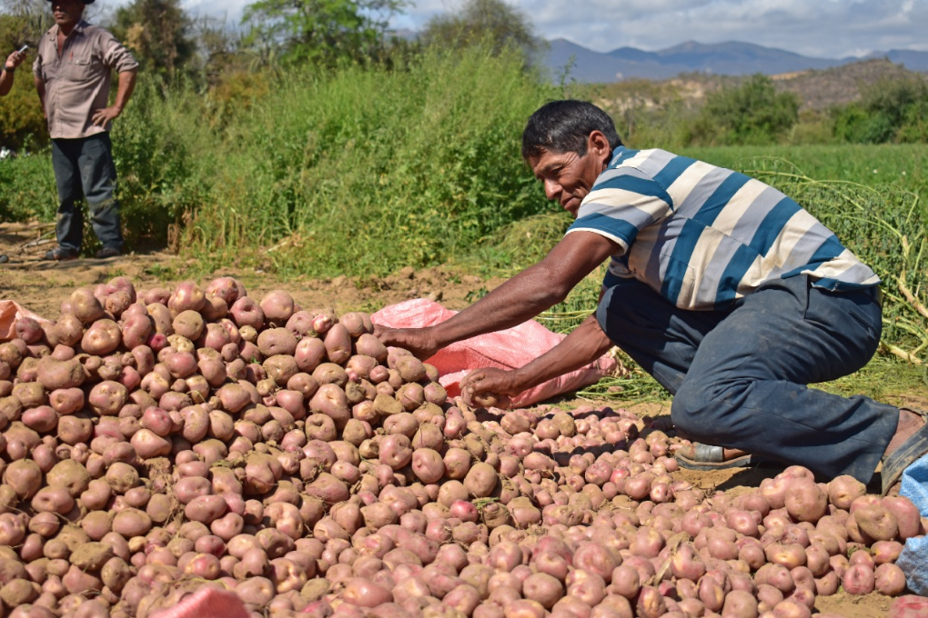 Según Arce, la tierra deber ser para quien la trabaja