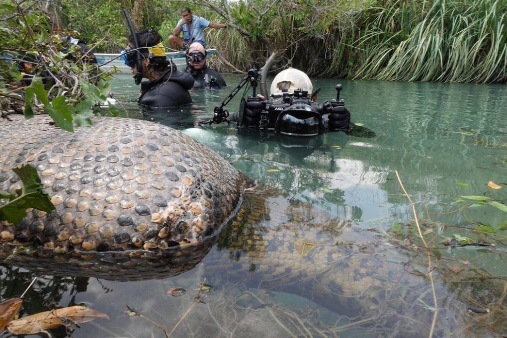 Eli Martinez y su equipo de expedición en el río de aguas cristalinas