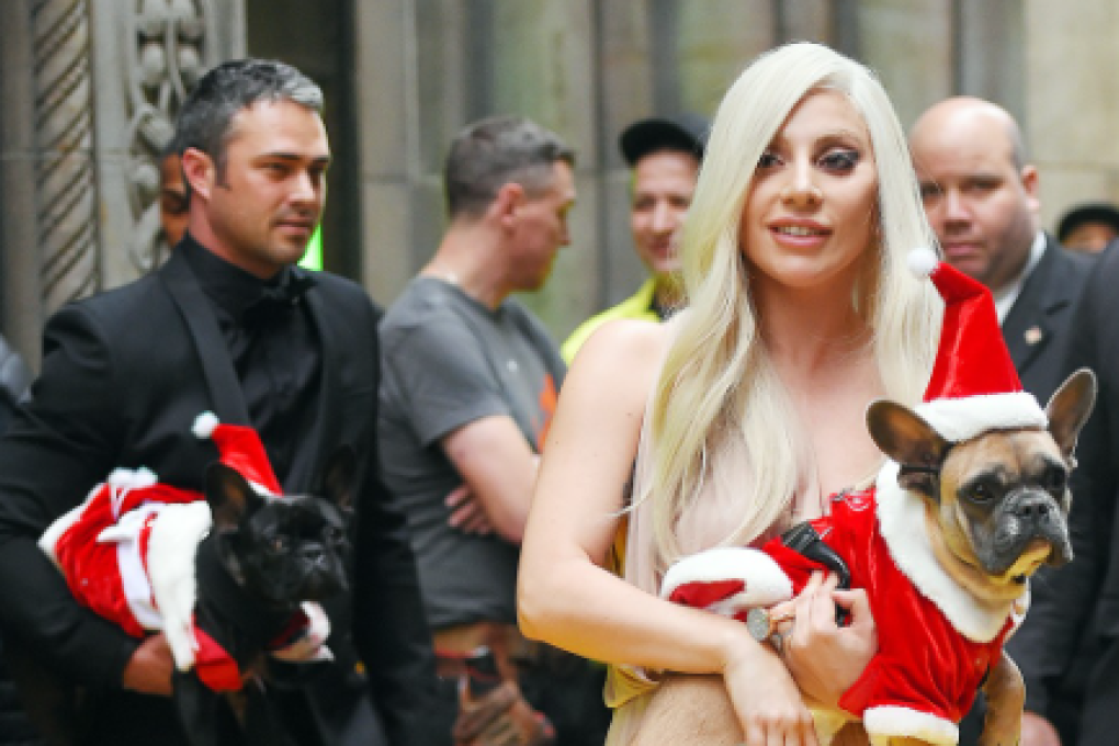 Cinco detenidos por el secuestro de los perros de Lady Gaga