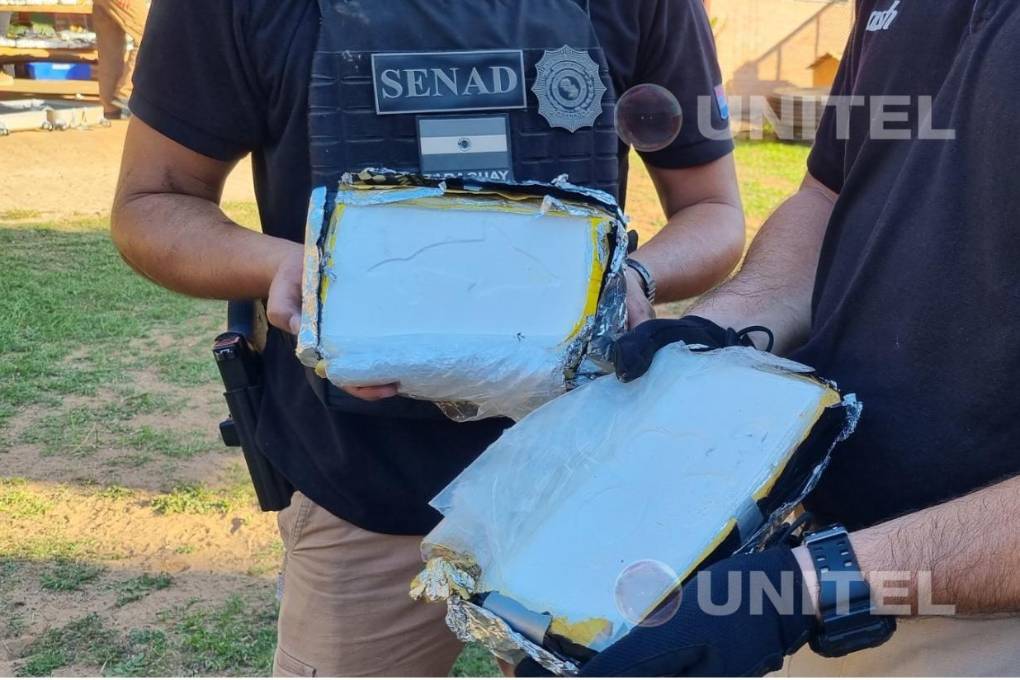 Los ladrillos tienen un sello de delfín y trébol