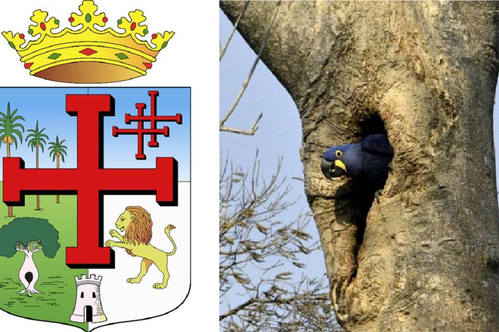 El escudo de Santa Cruz es el reflejo de la biodiversidad mágica cruceña