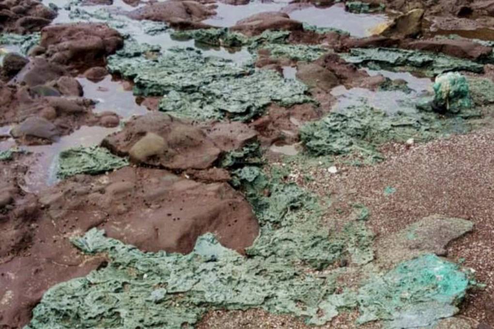 La foto divulgada por la Universidad Federal de Paraná (UFPR) sobre las “rocas plásticas” encontradas en la isla Trindade, estado de Espirito Santo, Brasil.