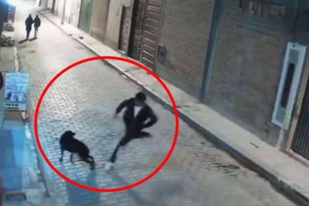 Un joven intentó patear a un perro y acabó tendido en el piso