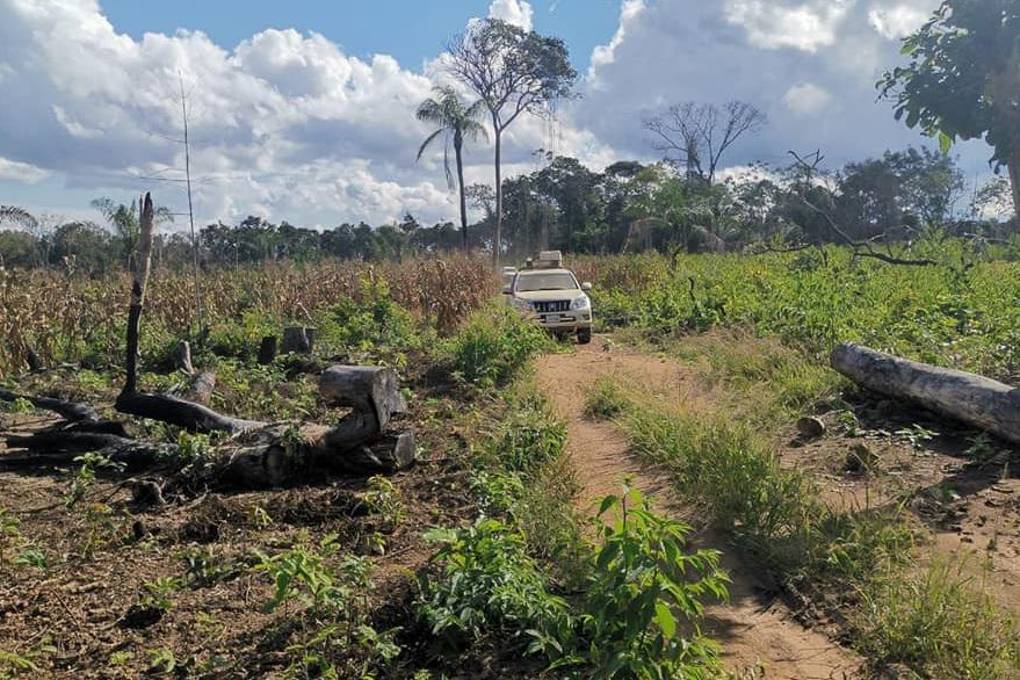 En diferentes ocasiones se denunció la tala ilegal en el Bajo Paraguá