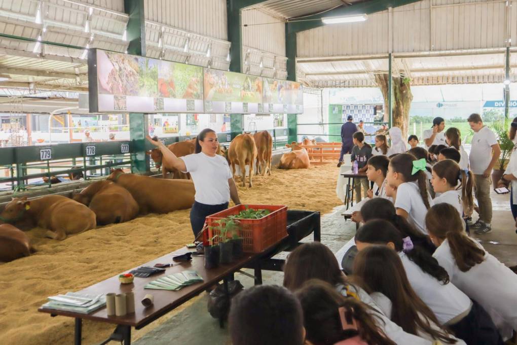 Los estudiantes también tendrán la oportunidad de conocer sobre los animales