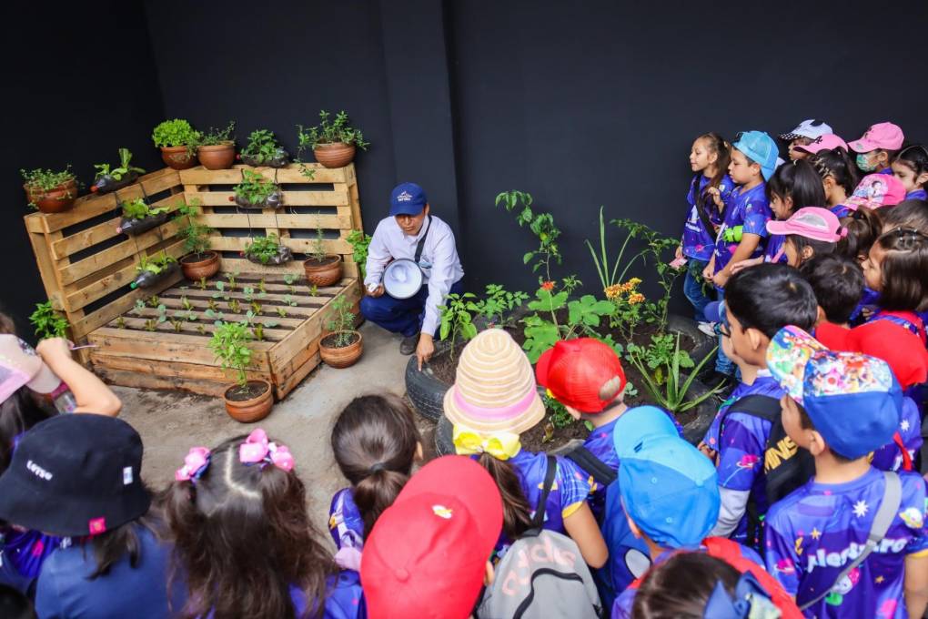 Las enseñanzas son dictadas por técnicos del Centro de Ecología Aplicada Simón I. Patiño