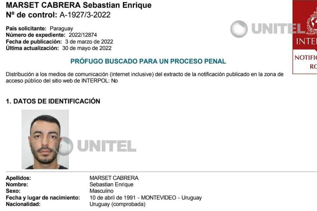 La notificación de búsqueda para Marset.