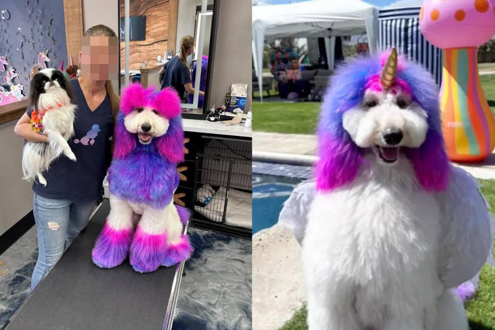 Angela junto a su mascota Zoe