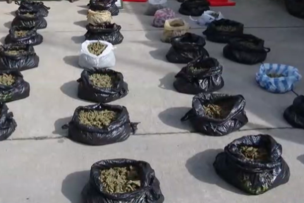 Aprehenden a un hombre de 22 años en El Alto que tenía 14 kilos de marihuana