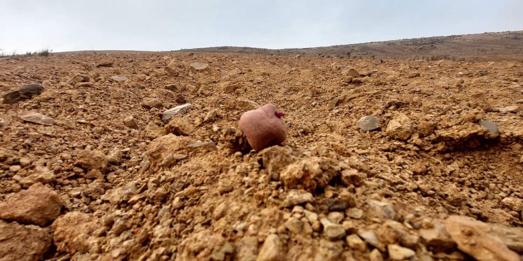 Sequía en el altiplano boliviano