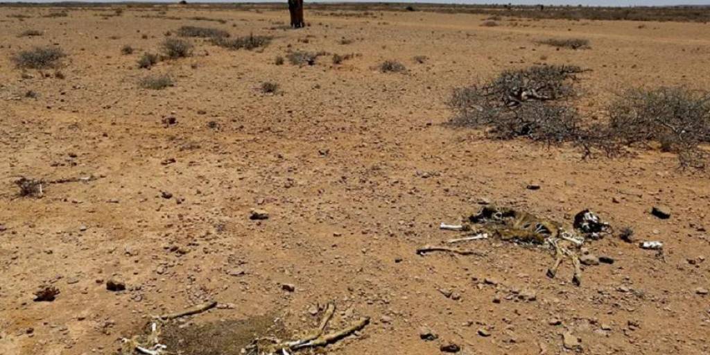 Somalia entrega una aguda sequía