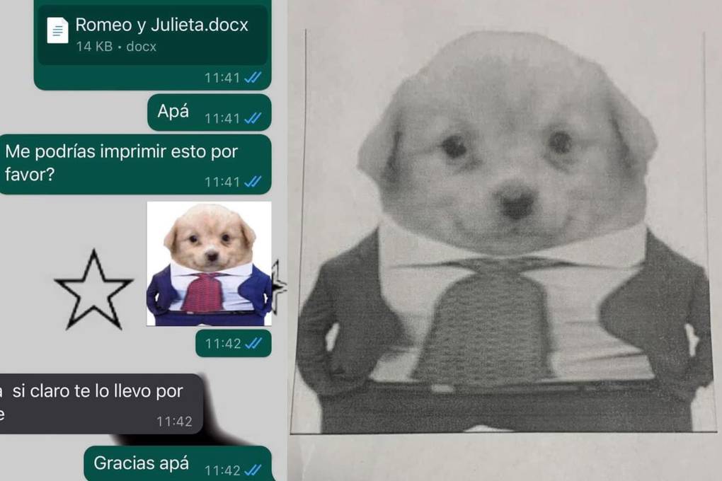 Chat de la conversación 