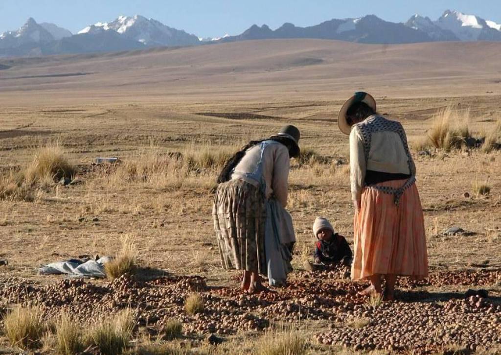 Sequía en el altiplano de La Paz