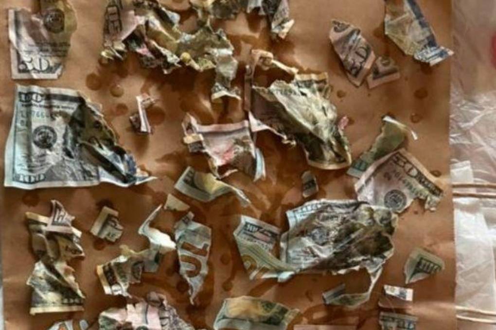 El dinero triturado que los dueños de Cecil encontraron