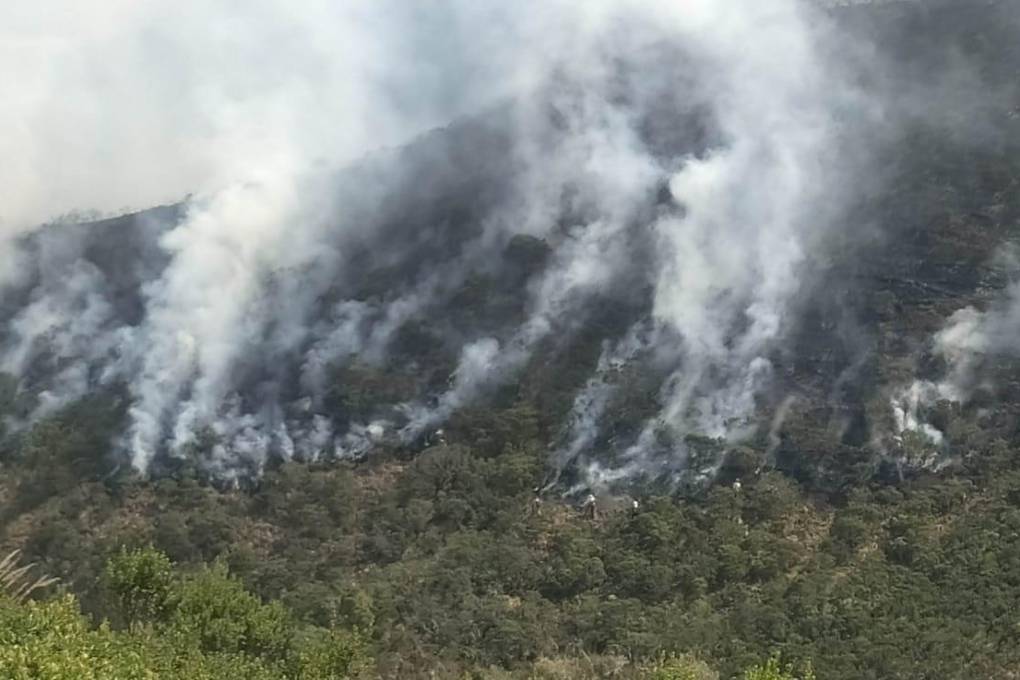 Incendios Forestales