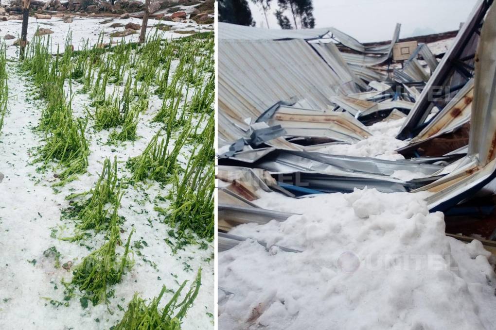 La granizada afectó cultivos e hizo ceder un tinglado de una cancha deportiva.