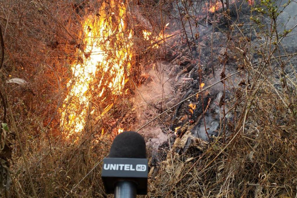 El fuego se reavivo en las serranías de Quime, en el departamento de La Paz.
