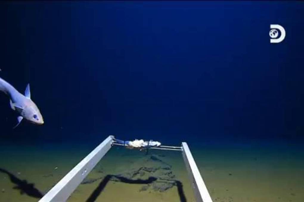 Victor Vescovo encontró basura en la fosa de las Marianas