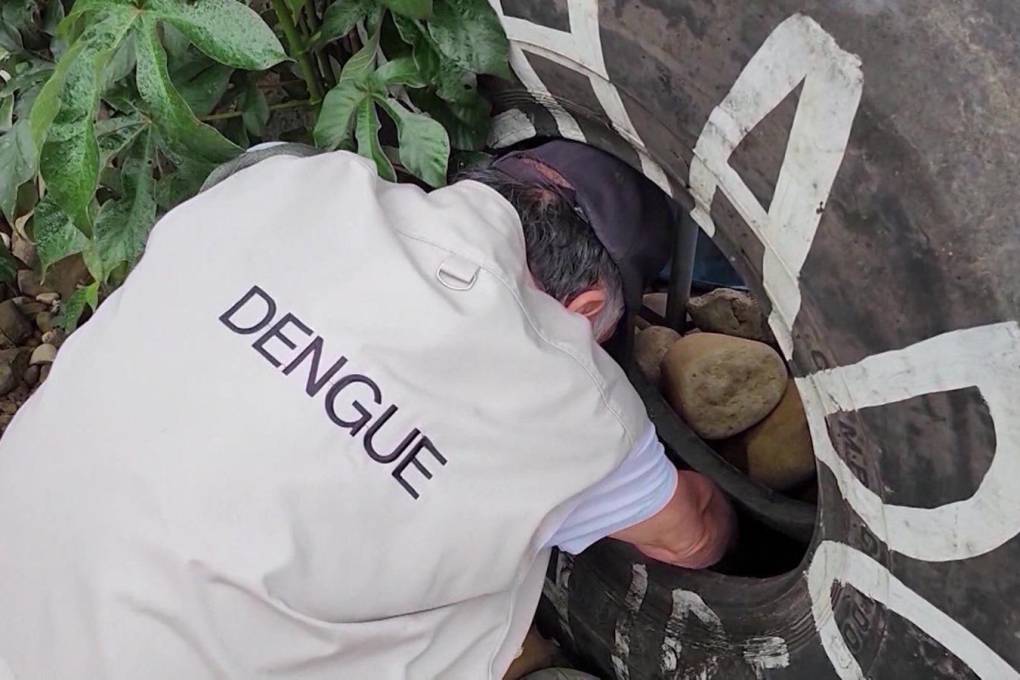Trabajos de detección de dengue