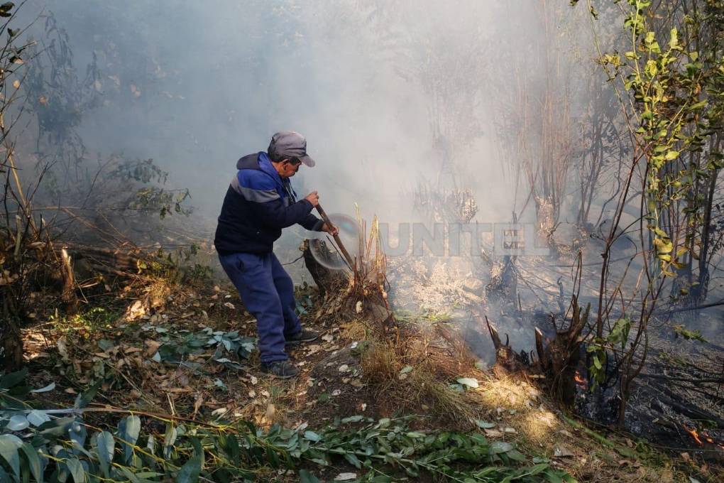 Eb algunos sectores los comunarios detuvieron el avance de las llamas.