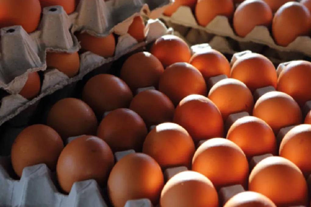 Crece el consumo de huevo en Bolivia: de 172 a 203 unidades por persona al año, pero no es suficiente