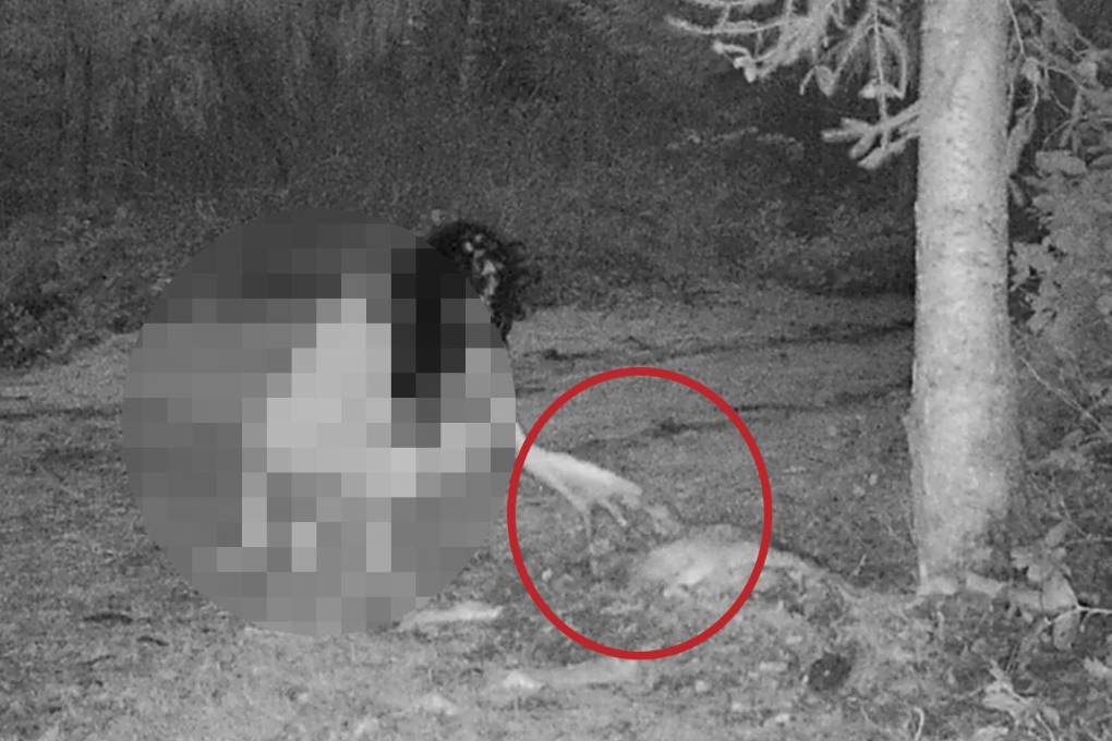 Una mujer fue captada en supuesto ritual de brujas