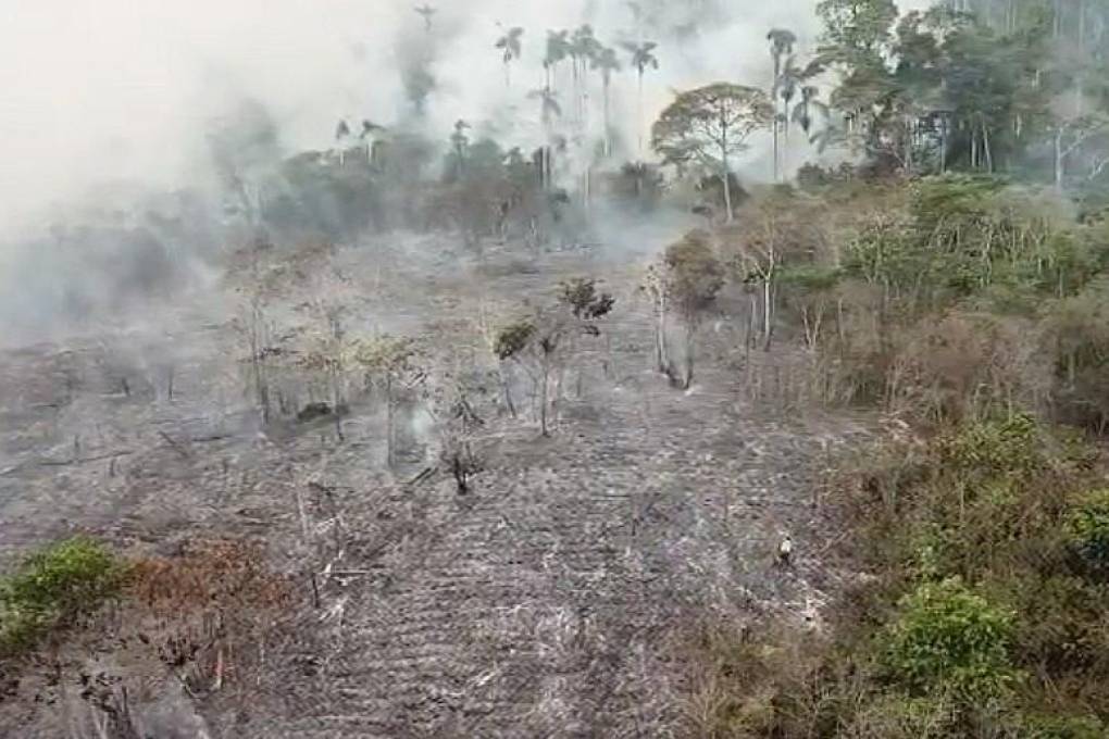Una imagen aérea de una de las zonas afectadas por el incendio forestal en La Asunta.