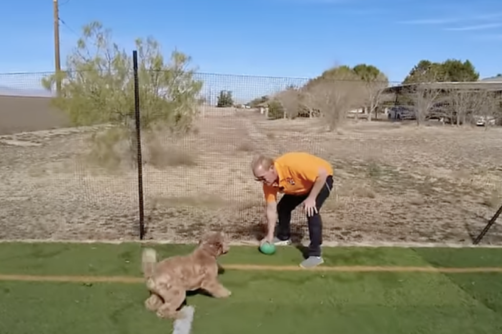 Bradley entrenando a un perro