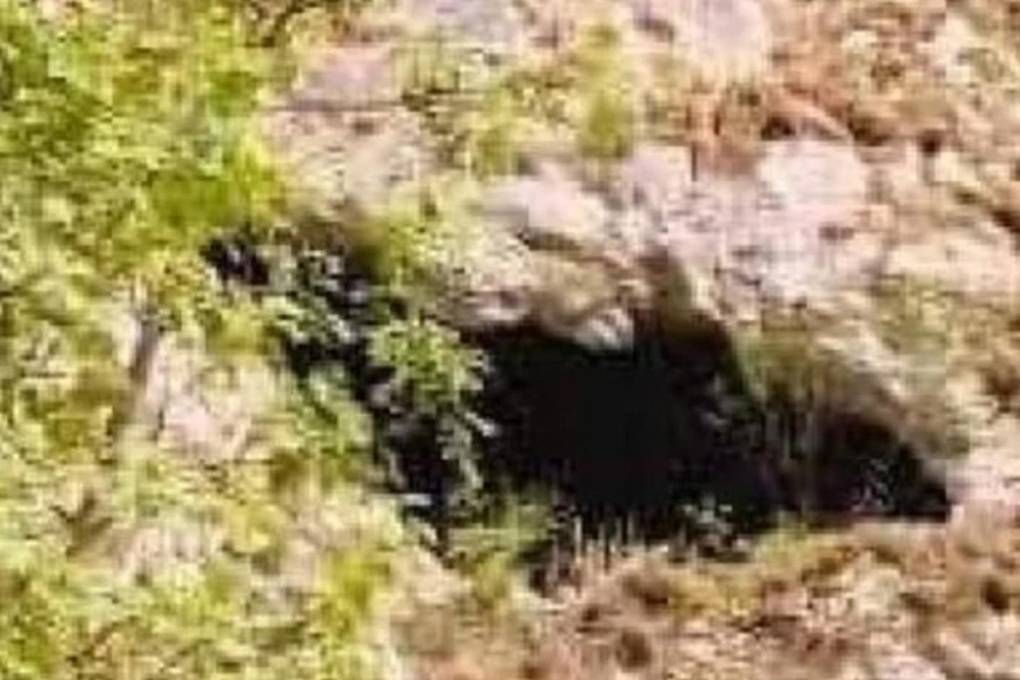 El cuerpo de Bruno fue hallado en una cueva a 350 kilómetros de su casa