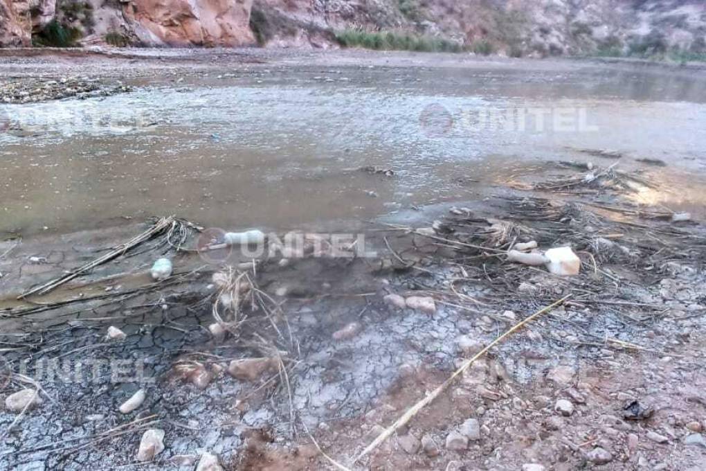 Estudios confirman presencia de metales pesados en un afluente y a orillas del río Pilcomayo