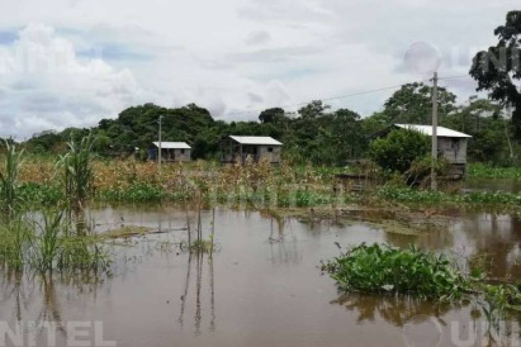 62 mil hectáreas de cultivos quedaron afectadas por diferentes fenómenos climáticos en el país
