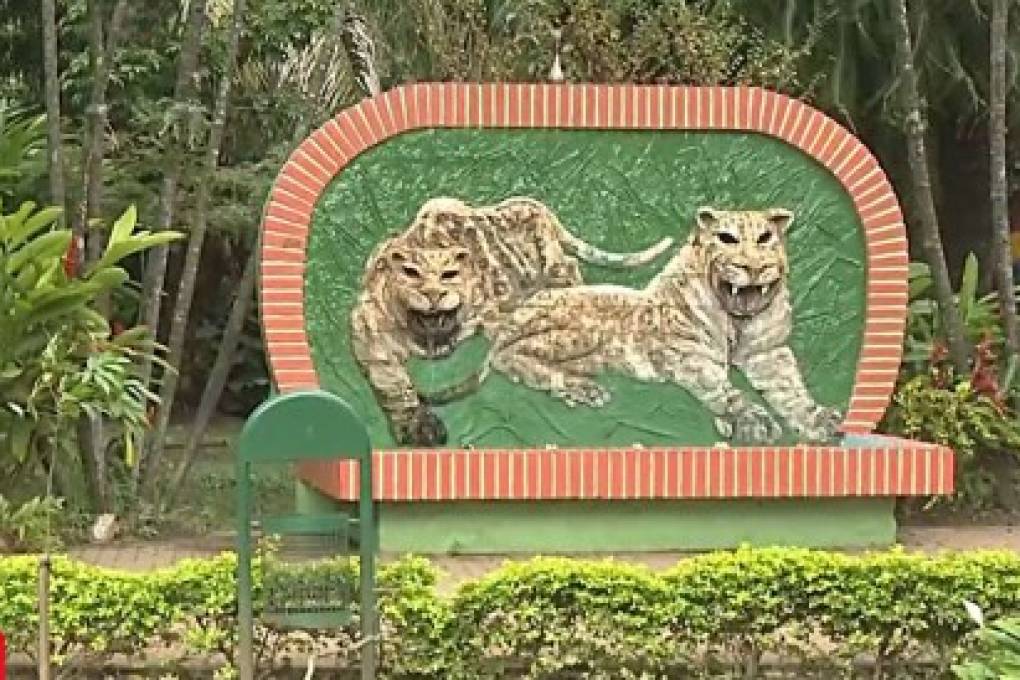 “Fue pintado sin consultar y por hacerlo bien”: director del Zoológico anuncia sanciones por pintado de mural