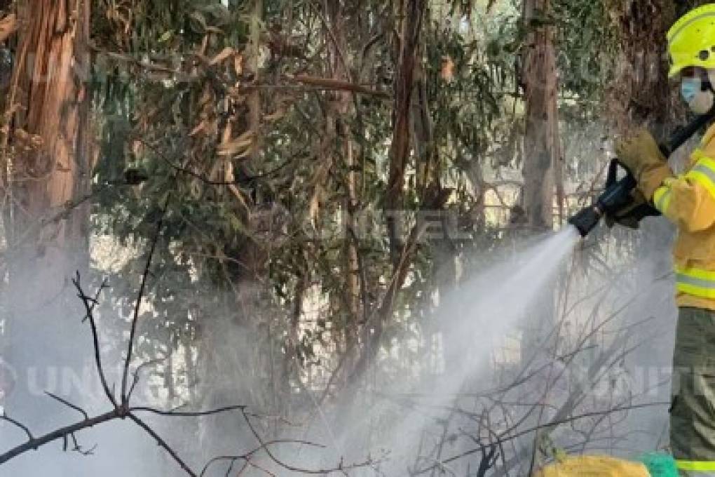 Cochabamba: Incendio forestal alertó a vecinos y afectó a varios árboles de eucalipto