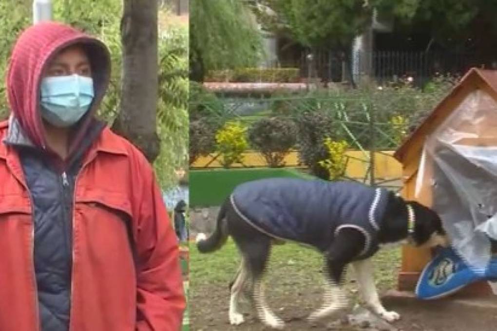 Tiene 14 años y junto a su mascota, vive en una casita de perros en una plaza en La Paz