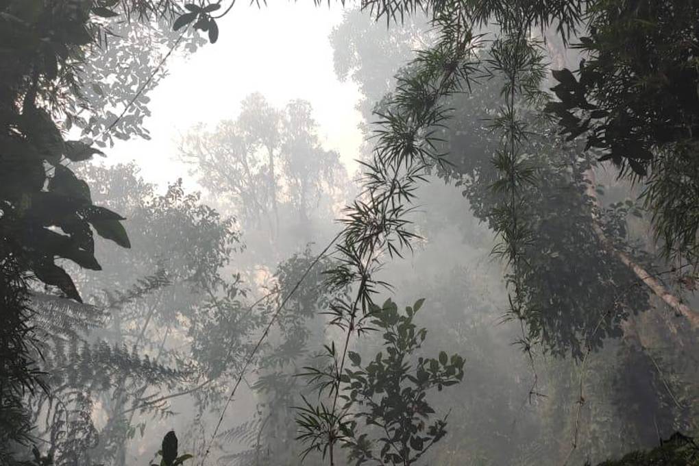 Incendio en Chicaloma