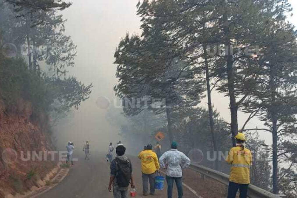 Incendios en Samaipata y San Ignacio causan alerta en Santa Cruz